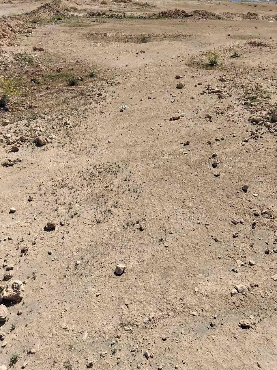 سلام رحمة الله وبركاته اخوان قطعة ارض للبيع اخلف معمل الابان الارض بيضاء مساحة الارض الف متر سعر المطلوب 8 ملاين وبيه مجال الطيبين الستفسار اكثر اتصل على رقم 📱 *********** ملاحضة ترهم مروس بكيه حمل
