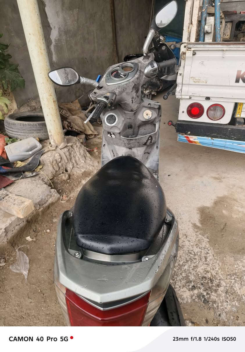 السلام عليكم سكنس فحل كابريته للبيع كفالة ختم واحد☝كهرباءيات كله شغاله للاستفسار *********** مكان بابل مركز  👍
