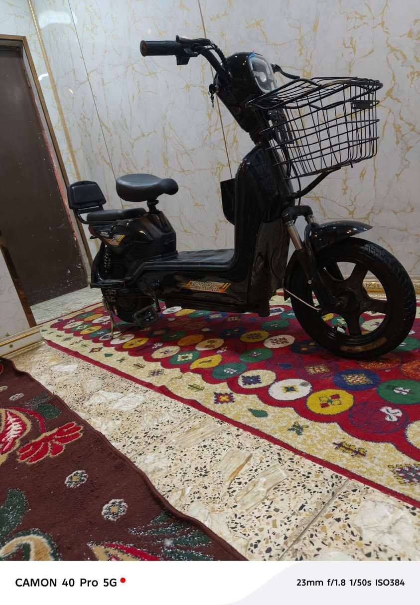 سلام عليكم دراجه شحن للبيع الدراجه نضيفه ٣ سرع مديل ٢٤ حجم ١٤ بيه نضام من شغله دوس ابريك يله تمشي كهربأيات شغاله هورن السعر 270 وبيه مجال الرقم *********** اتصل وبيك خير ودلل
