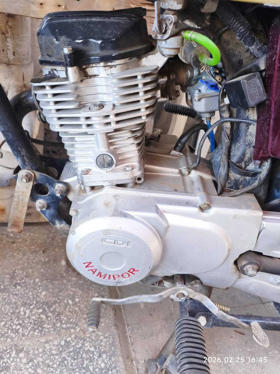 من رخصه الادمن. لاتنطي موعد وتخلف الفف رحمه لوالديك دراجة تايكر باكستاني موديل 2021 دراجه كامله متذب عليها ربع غير تفيلس ولاستيك ولف يبس لين جانت واكفه لفتره ما تكلفك بالزايد 15 بس اما الدراجه من الطول للطول جديدة رايدها 430 وبيها مجال مكاني بغداد العامرية  رقمي بي واتس ***********
