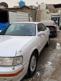 كراون بطه • ١٩٩٣ • بصرة