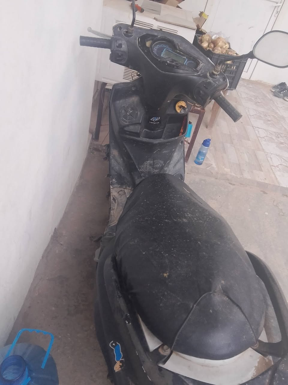 كركوك رقم الهاتف واتساب ***********
