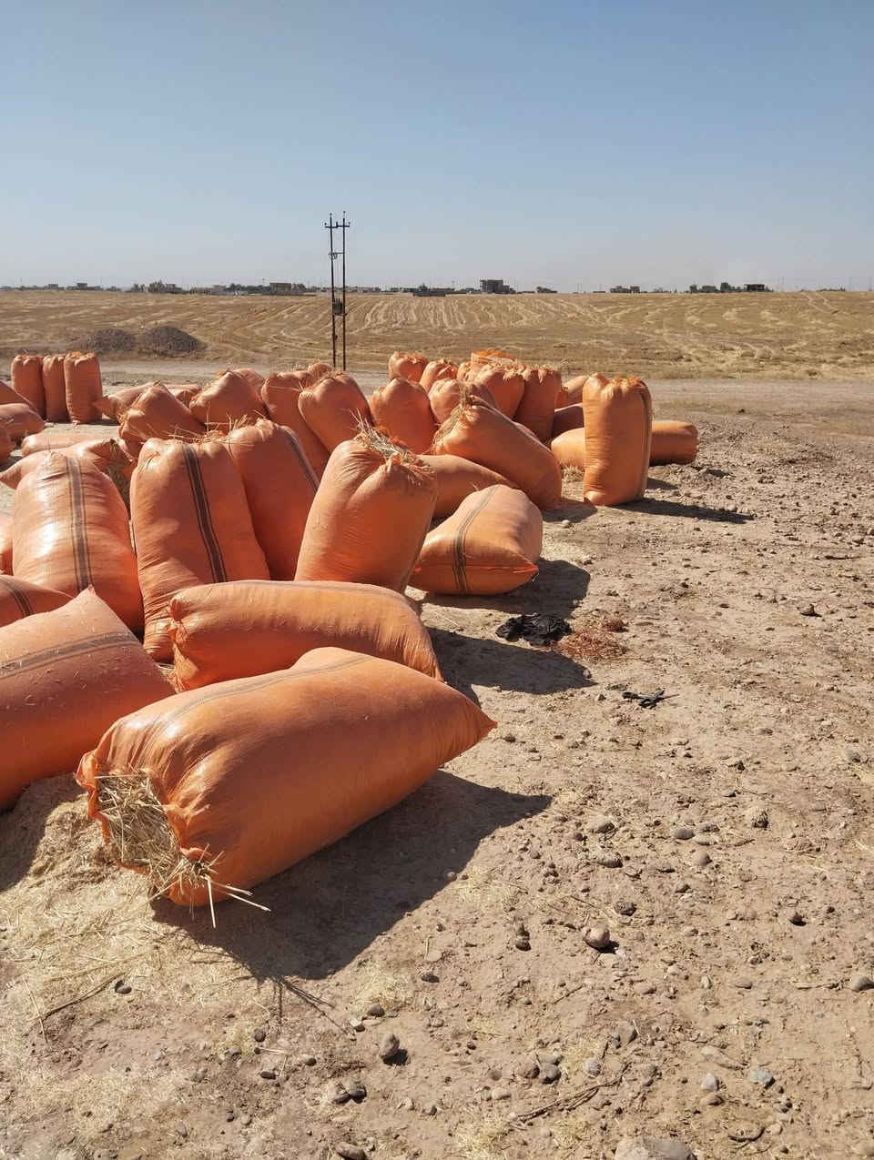 السلام عليكم
يوجد تبن للبيع شلفان عرض 80وارتفاع 120 تبن  نضيف مال حنطه مو مال  شعير   ودكاك فول  السعر مع  التوصيل 4000  🔒🔒 وشرط  الدكاك 
الاستفسار على الرقم ***********
#موجود_خدمة_توصيل
