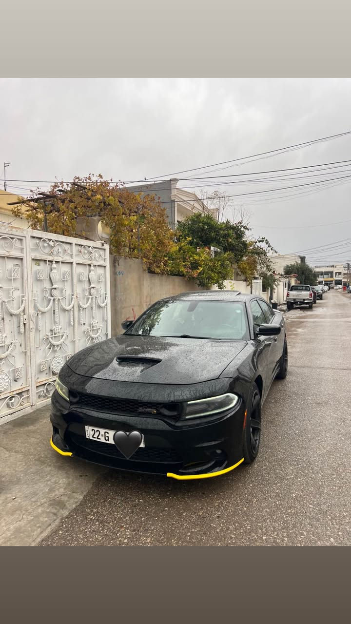 سلام عليكم
ماشاءالله تبارك رحمان 
Charger 2021 SXT PLUS
تحويل وكاله نفسل يوم
گير محرك اكسل مكفول
فول فول
فتحه
كشن خزن
٤ كشن هيتر +ستیرن
کشن تبرید
حاسه خلفی
کشن جلد
بنيد SRT
ويلSRT
دعامياتSRT
سياره ٢ قطعه مصبوغ بنيد مبدل SRT
شويه pdr بل باب نفر
بدون دواخل
شاصي لوغد بطانه مكفول
مكان أربيل 
سعر بلاش 218 وڕەقە  بي شويه مجال
واتساب 0️⃣7️⃣5️⃣1️⃣7️⃣2️⃣2️⃣7️⃣2️⃣3️⃣2️⃣ أربيل, العراق
