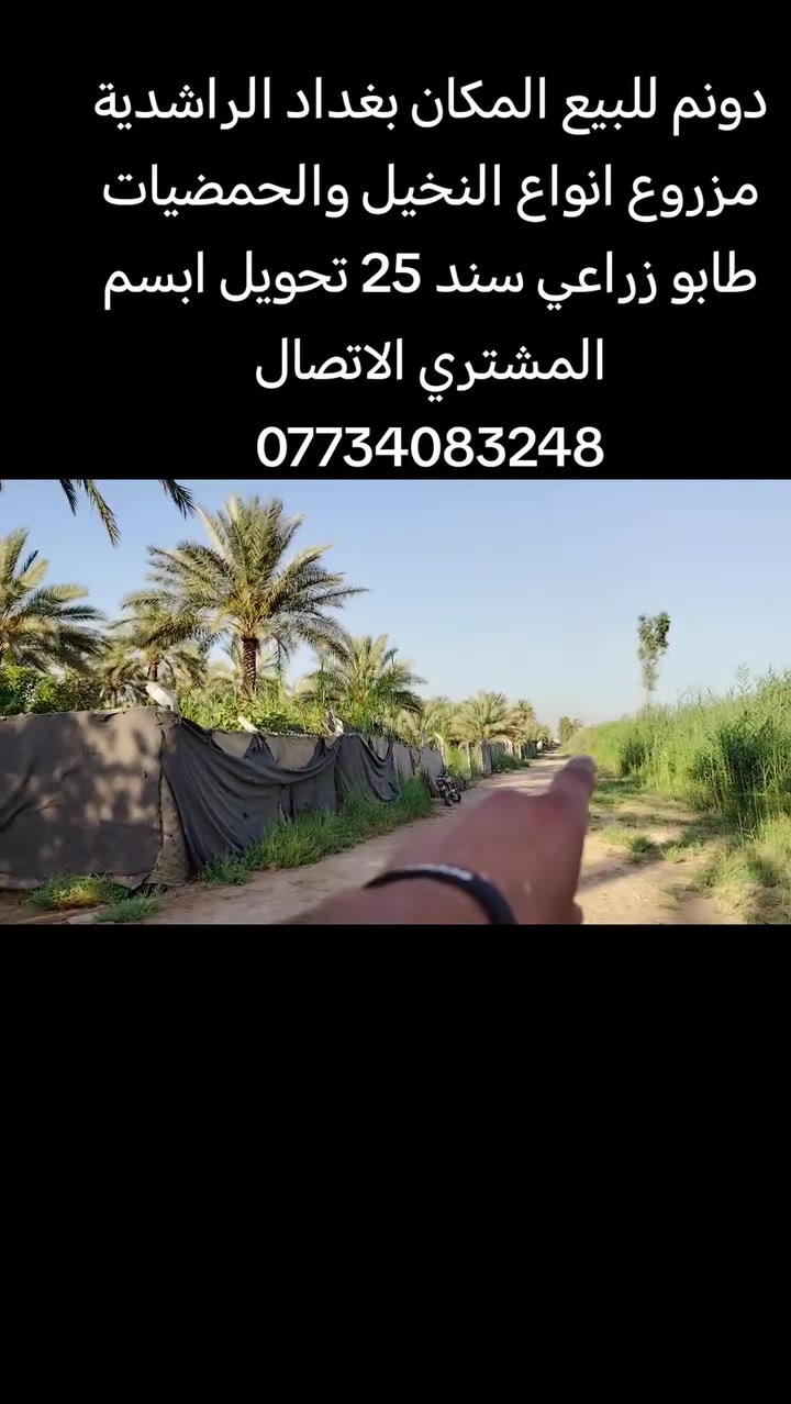 السلام عليكم دونم للبيع المكان بغداد الراشدية قرب البحيره يحتوي على داره استراحة و مزروعة انواع النخيل والحمضيات الاتصال ***********
