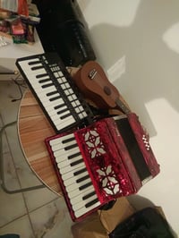 اكورديون للبيع جديد بلكارتونة ماركة IRIN مع حقيبة وشيالات مكاني بغداد ...