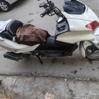 فورزة • شغالة • كفرات تعبانة