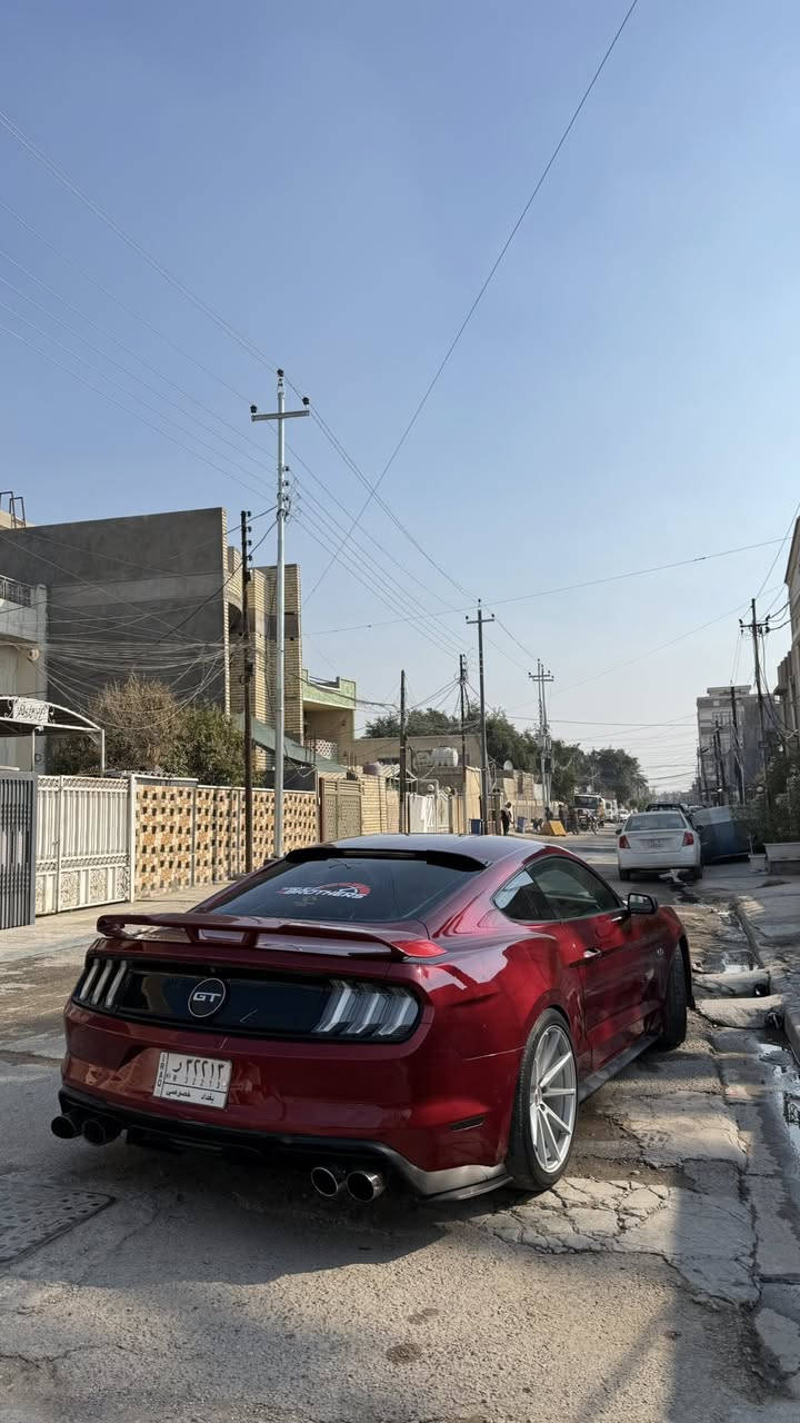 النداء الاخير ماكو هيج جمال ونظافة وقوة بهيج سعر ❤️🔥
جيتي 2015 تراك بكج كير عادي اصل
دخول كلين رقم بغداد تحويل ثاني يوم
بلعراق بيه محدثين بجم شيلبي ورجعته بلاد مال جيتي
ماشية ٥٠ ميل
كير مكينة اكسل بلجيس
صدر امامي نص عمر
صدر خلفي نظيف
كلج وعنبارات جديد
راديترات جديد
جوينات وكوع جديد 
تبريد وكمبريسر جديد
باتري جديد
حساسات اوكسجين جديد
بولش 
شوته jlt
هدرز borla longtube 
X-pipe
دبات dynamite ريمونت 
تبات 
دركة شيلبي 
كشنات ريكارو اصلي زوج 
ويل اصلي 20
ليدات دعامية خلفية 
ليدات دفيوزر
شباك CS فوك اسفل  
لحية سيرفيني 
دفيوزر شيلبي موديل 20
سبويلر تراك بكج موديل 20
شفقة جام خلفي 
مكان بغداد

السيارة نظيفة كلش وجديدة ومدفع 🔥 
154 وبيه مجال للشراي ❤️
***********
