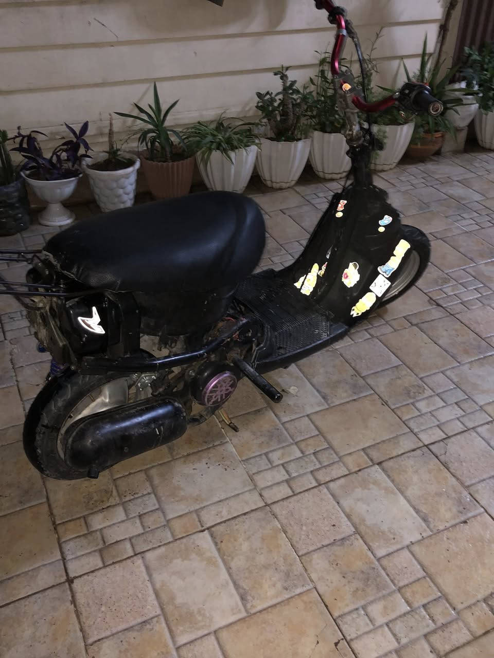 شبابا يامها محرك ٨٠ شرط سرعه انطيك مال لعب ستيرن مزود دبل خلفي رياضي سرعه ومعدل خير من الله سعر ١٠٠ بي مجال للاستفسار 
***********فقط واتساب موجود
