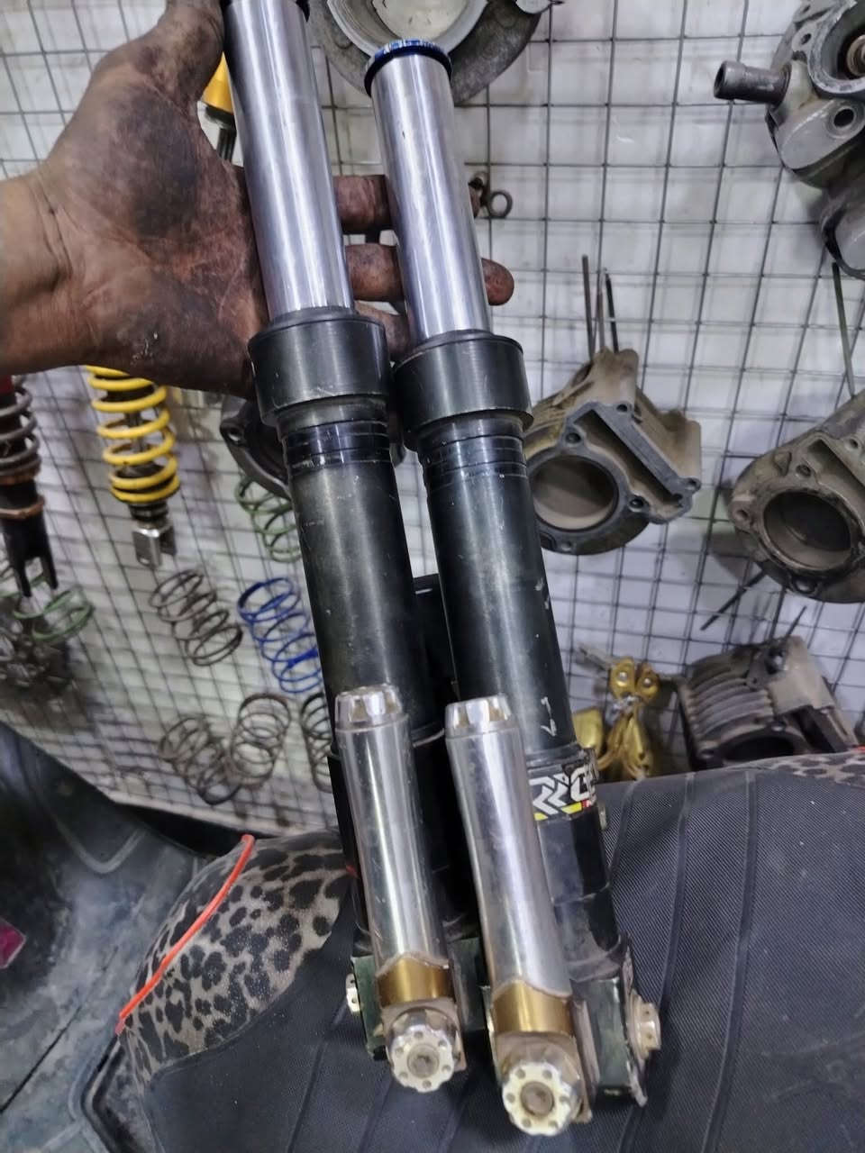 صدر سكنس جبلي rgs
بغداد غزاليه 
***********
