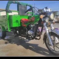 ستوته • موديل 2021 • أوراق أصلية