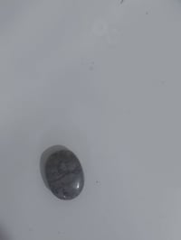 احجار • منقوشة • عدد٢