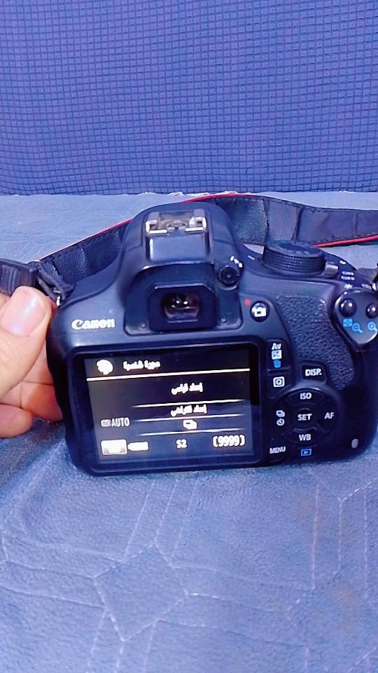 كانون نظيفة للبيع سعر 400 مراوس اراوس


**إذا كنت صاحب هذا الإعلان وتريد حذفه لأي سبب، رجاءا أرسل رسالة إلى الدعم الفني**