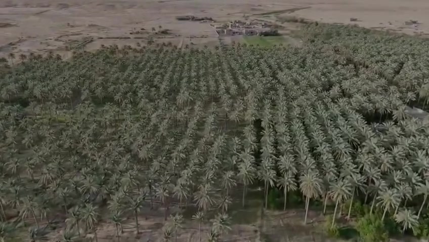 سلام عليكم يوجد 10 دونم  طابو زراعي و8دونم گاع اميرية قابلة للتوسيع موقع الارض في الانبار قضاء هيت يبعد عن مركز هيت 35كيلو متر وجه 60 متر يوجد في البستان اكثر من200نخلة مشكل اسم القرية السراجية 

للتواصل او الاستفسار الاتصال ‏‪***********‬‏

او زيارة مكتب السندباد للعقار خلف العاب السندباد
