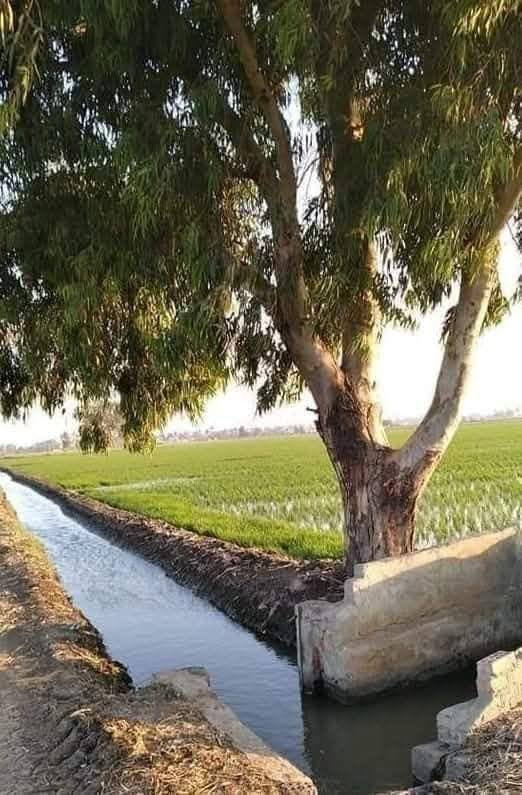 شني اليومممم 🔥
جايبلك دونمين ومن ضمن 4 دوانم فقط
وملك صرف وبيش بسعر 20 مليون الدونم
 بس جاهزات واصوليات بأسم عمي مباشر
ولا حق التصرف ولا مملوك للدوله ملك
شخصي الملك لله ملك صرف وخدماته
كامله ماء وكهرباء وسكن يمه ويبعد عن
السوق والمدارس 10 دقايق فقط العنوان
تاجي سبع البور بمنطقة الشيخ عامر يبعد
عن السوك 10 دقايق وما اخذ منك ربع 
دينار اذا ما افتحلك بيان وللتذكير عروض
متوفره ونطلع عليهن وانته اشوف اليي
يعجبك اتصال ***********واتساب
