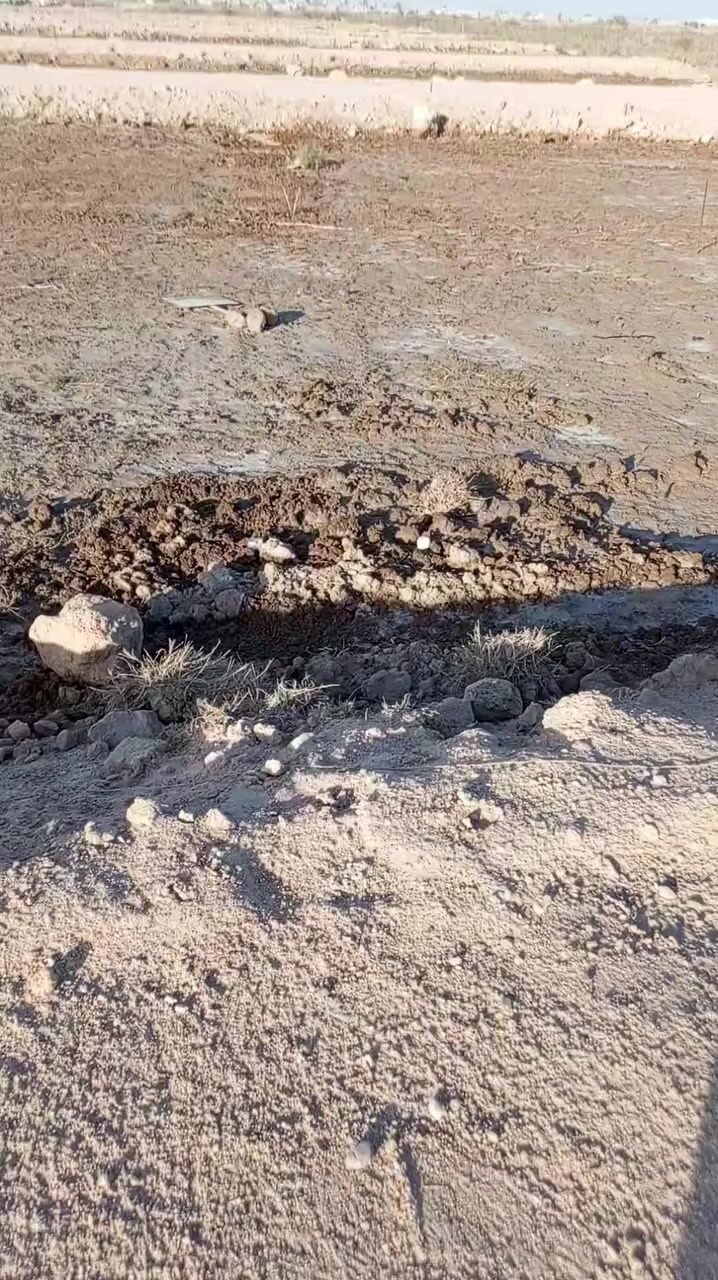 متاح قطعة ارض 100 متر 10 واجه و10 نزال باب الهوي الصقر الرابعة متوفر كهرباء ماء تبليط
التواصل وتساب اواتصال ***********
