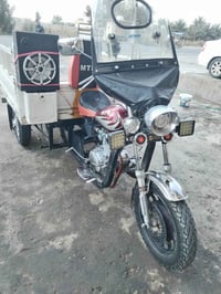 ام تي ار • ستوته • بدون أوراق