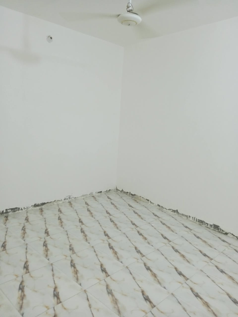 بيت للايجار. منطقة الشوفه. 
المساحه 200 بيت كلش نظيف. ومرتب. وجديد

  البيت بناء بلوك شمالي  البيت جاهز. كلش. ومامسكون 

  ديوانيه وصاله. ومطبخ وغرفتين . وصحيات 

 وحمام داخلي. البيت كل نقص مابي. جاهز علئ اخر حبايه 

   سعر الايجار. مالته. 250.  قفل.  متوفر ماطور تانكي. گيزر

  للاستفسار مراسلتي. وتدللون.


**إذا كنت صاحب هذا الإعلان وتريد حذفه لأي سبب، رجاءا أرسل رسالة إلى الدعم الفني**