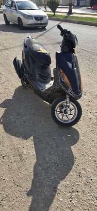 ماكس عدلة • بوشة ٤٩ • الكوت الجديدة