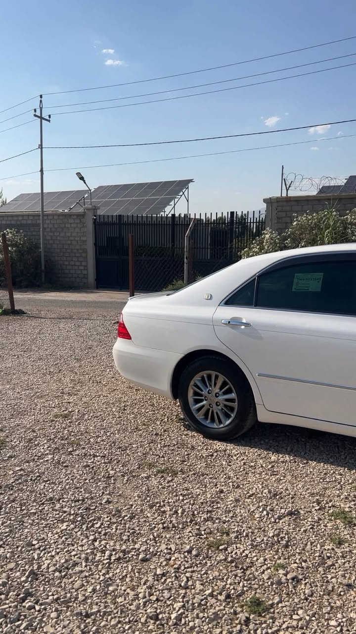 سلاوی خواتان لیبیت شاهینە ساخ ساخ
شاهینەی رۆیال 182

بی بۆیاخ 
حاسیە دواوە
پیشەوە

مۆدیل2007

ساج مەلکی

مواسەفات3دوگمە

3پەردە

 کوشن خەزن

سوکان حەیزەران

سەیارەکە ماشاللە زۆر جوانە

هەرکەس حەزی پیبوو لەخزمەتایم

***********❤️
