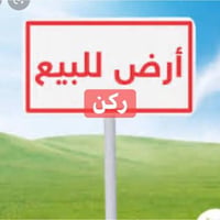 حي طارق القديم • ركن • ٣٠٠م