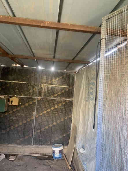 السلام عليكم 
قفص كامل للبيع طول 3 وعرض 2 ونص للأستفسار الاتصال ***********
📞✉️
