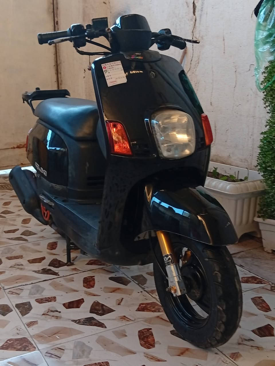 سلام عليكم ماكس بوليسي 
موديله ٢٠١٠ دراجه طالعه من المعرض صارله ٣ اشهر 
كفاله من طول الطول عله وضع البلاد مراوس او بيع 
بيه صدر تزويد وفج برنبو مكينه ناعمه وخير من لله سعر 
خاص ***********
