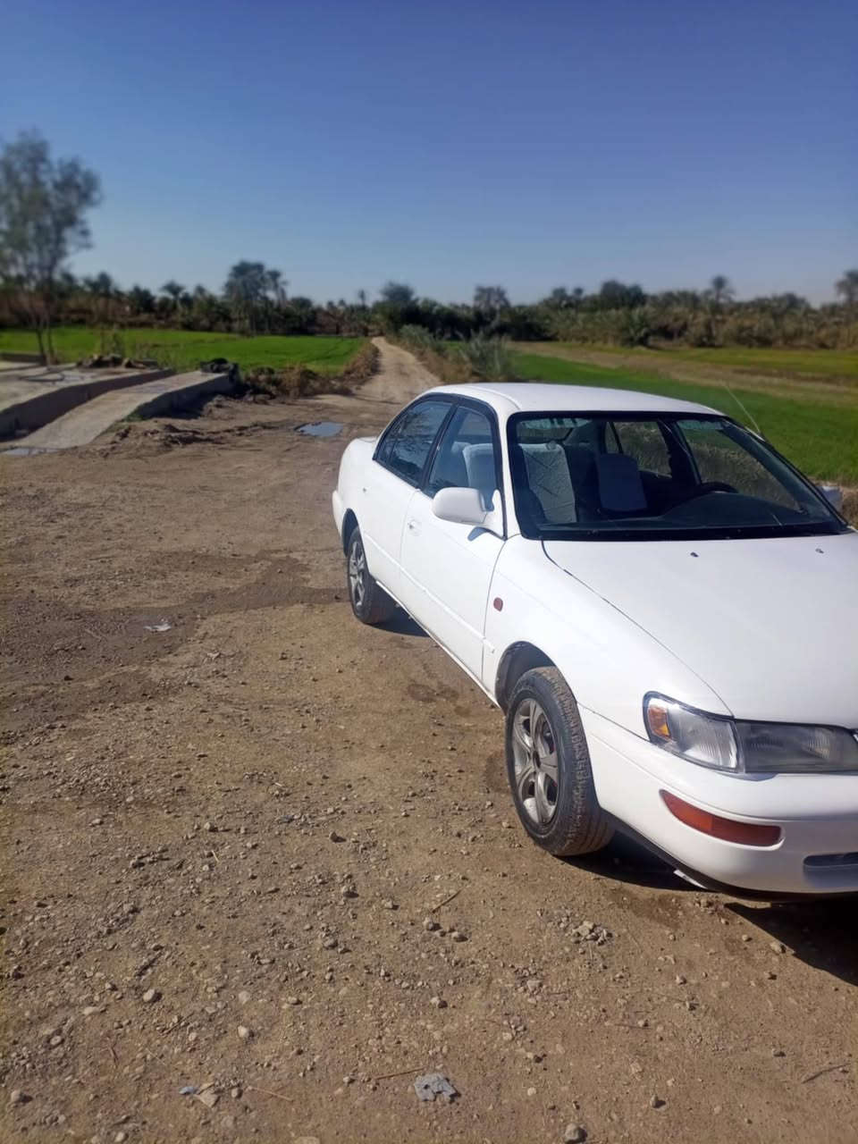 السلام عليكم كورلئ مديل93 كير اتوماتيك يسره بلادي معمره السياره تعمير جديد ماناقصهه شي اومكينه ااوكير جدد سنويه مشروع وطني  رقم بغداد بسمي وكاله عامه اني  احولك حداديه جديده السياره امعمرهه تعمير جديد علئ ايدي الله شاهد ومكلفتني هواي. سنويه ماصاقطه. كهربائيات عامه شغاله. مكفوله من الكص والنقل مكاني نجف ابو صخير السعر 55 بيهه مجال. ***********
