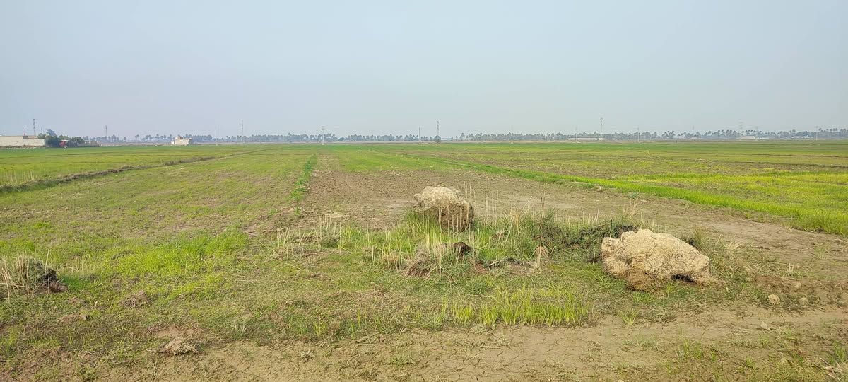 ارض زراعية منطقة الدينيه تقع على شارع الدينيه عباره عن قطعتين الاولى ٧دونم والثانيه ٥ دونم تتعهد كل الورثة بالتنازل ماعده أحد الورثه يرفض البيع تبلغ عدد الاسهمه مايعادل ٢٠بلميه من مجموع الاسهم يعني تبقه ما يقارب ١٠ دونم تتعهد باقي الورثه بتنازل بدون اي مشاكل علما فيها بستان لكل قطعه يصلح للزراعه والسكن اليرغب بالشراء يتواصل على الخاص او الاتصال 
(***********)
