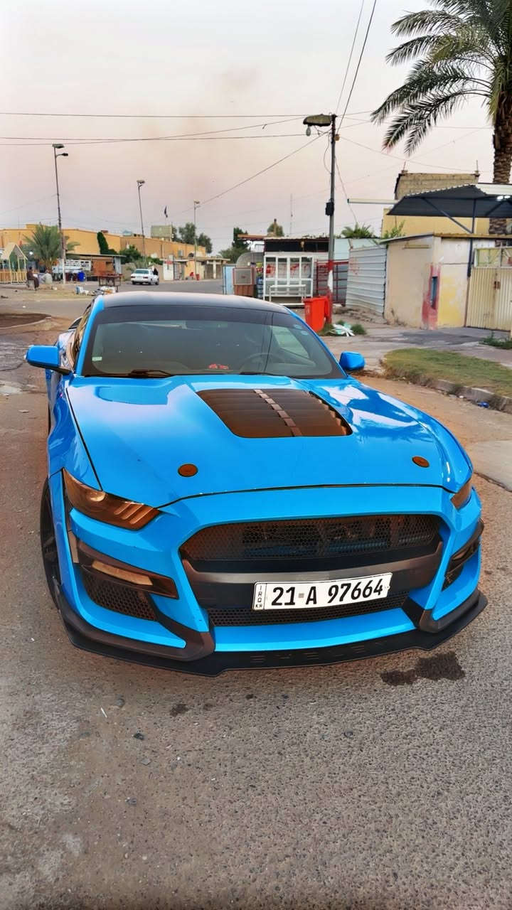 سلام عليكم شعندك مراوس اربع ابواب
موستنك 2017 سلندر6 كلشي بيهه بلادي سوناره موجود وحادثة خفيف كلش محدثة كت شيلبي ماشية 95 ميل 
كير مكينه بشرط سنوية لل 2029 باسمي تحويل ثاني يوم عليه دبات power
ريمونت تحكم لون مميز 
اريد مراوس مابيه ابيع وارجع ادور 
كلش حلوة وناعمة بالعافية ع الياخذهه 
الخاص مفتوح اليحب


**إذا كنت صاحب هذا الإعلان وتريد حذفه لأي سبب، رجاءا أرسل رسالة إلى الدعم الفني**