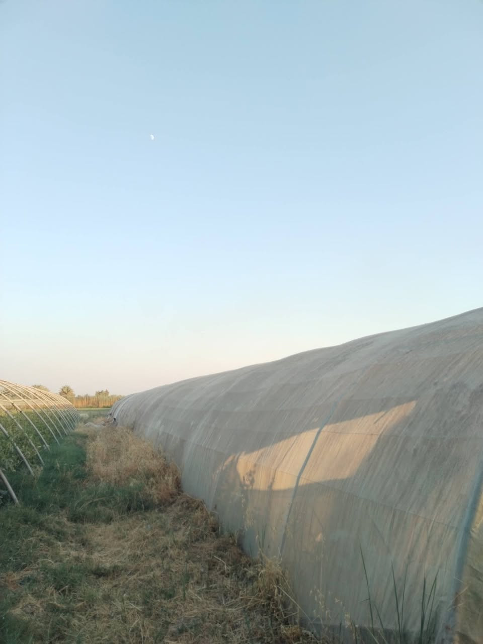 السلام عليكم، ٣ بيوت بلاستيكيه للبيع، كاملات كلهن من كلشي لايلون، سيم مغلون، تگدر تشتري بيت واحد هم براحتك، لمعرفه السعر والاستفسار اكثر الاتصال على الرقم ***********
