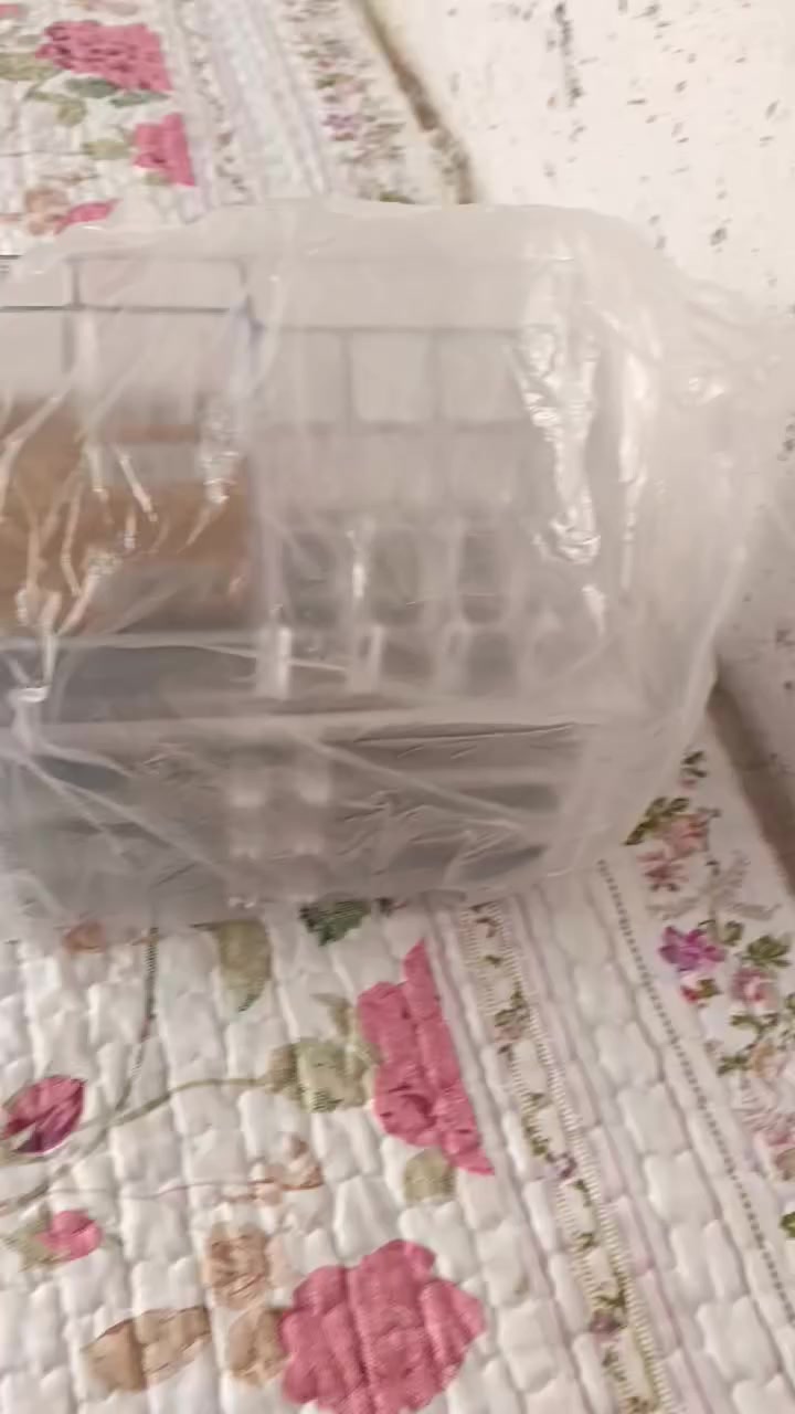 سعر 10 زعفرانية موجود خاص


**إذا كنت صاحب هذا الإعلان وتريد حذفه لأي سبب، رجاءا أرسل رسالة إلى الدعم الفني**