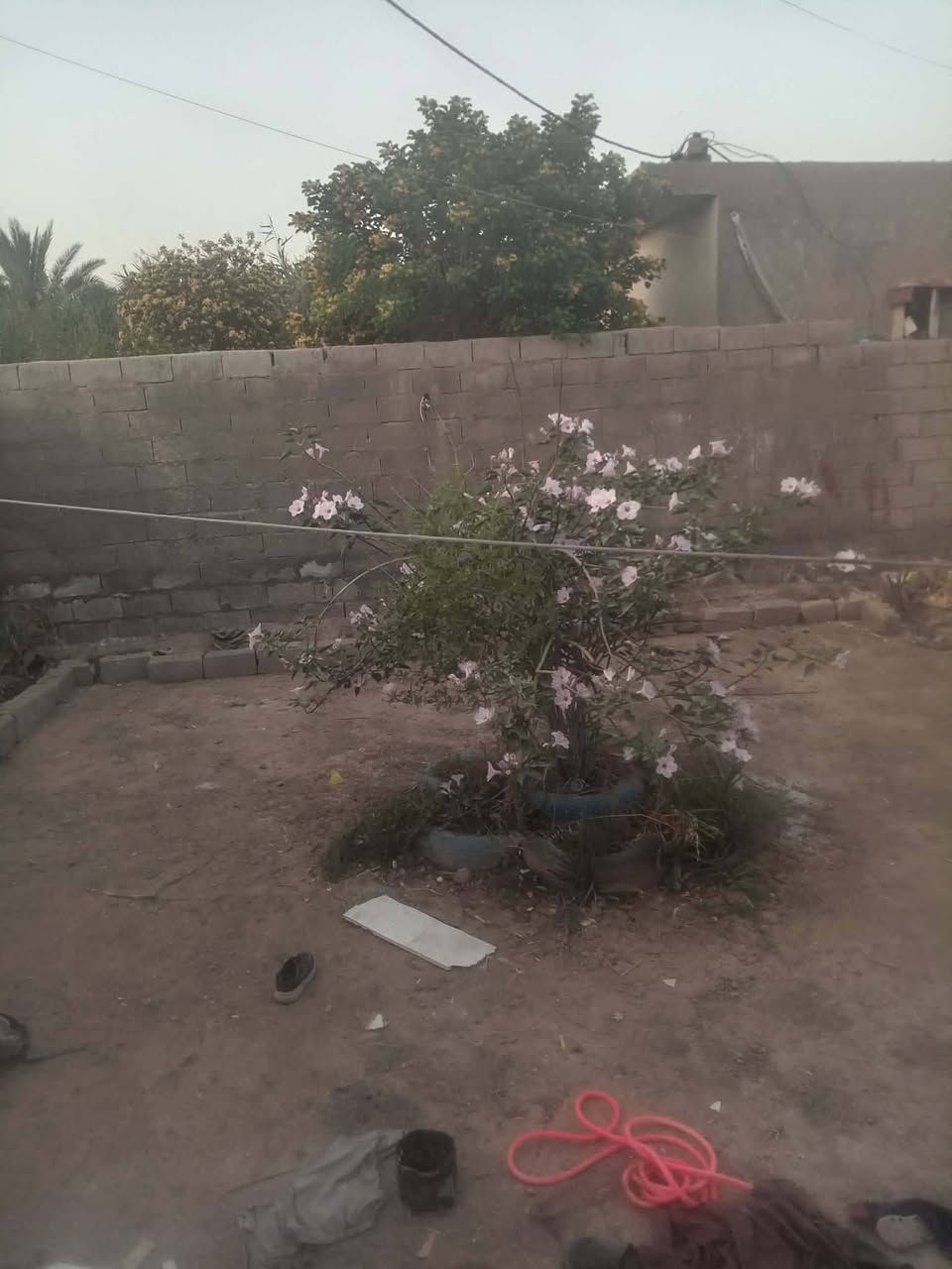 السلام عليكم
بيت للبيع زراعي المساحه 320 متر العنوان بالسده حي البكر حي كمال مساحة البيت ١٢٠ تحت البناء يتكون من / غرفتين + صاله + مطبخ + صحيات + طارمه خدمات كامله السعر المطلوب ( 40 ) مليون وبي مجال الاستفسار اكثر / *********** // ***********
