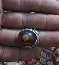 محبس سليماني • فضه اصلي • الرمادي