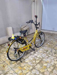 بسكليت • ذهبي