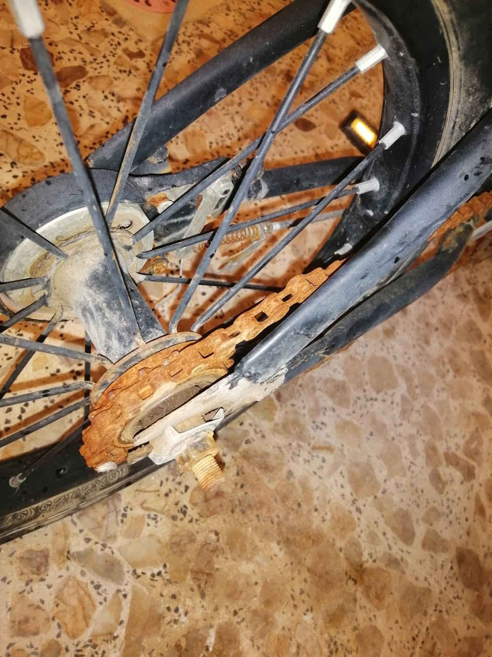 بايسكل حجم لو 18 لو 16 تايرات جدد مالته الأصلية مشكلته زنجيل مزنجر انترك فترة بالمطر والشمس بالسطح والسكان يحتاجله الأفضل تبديل صچم . سعره 25 ألف نهائي. *********** كربلاء
