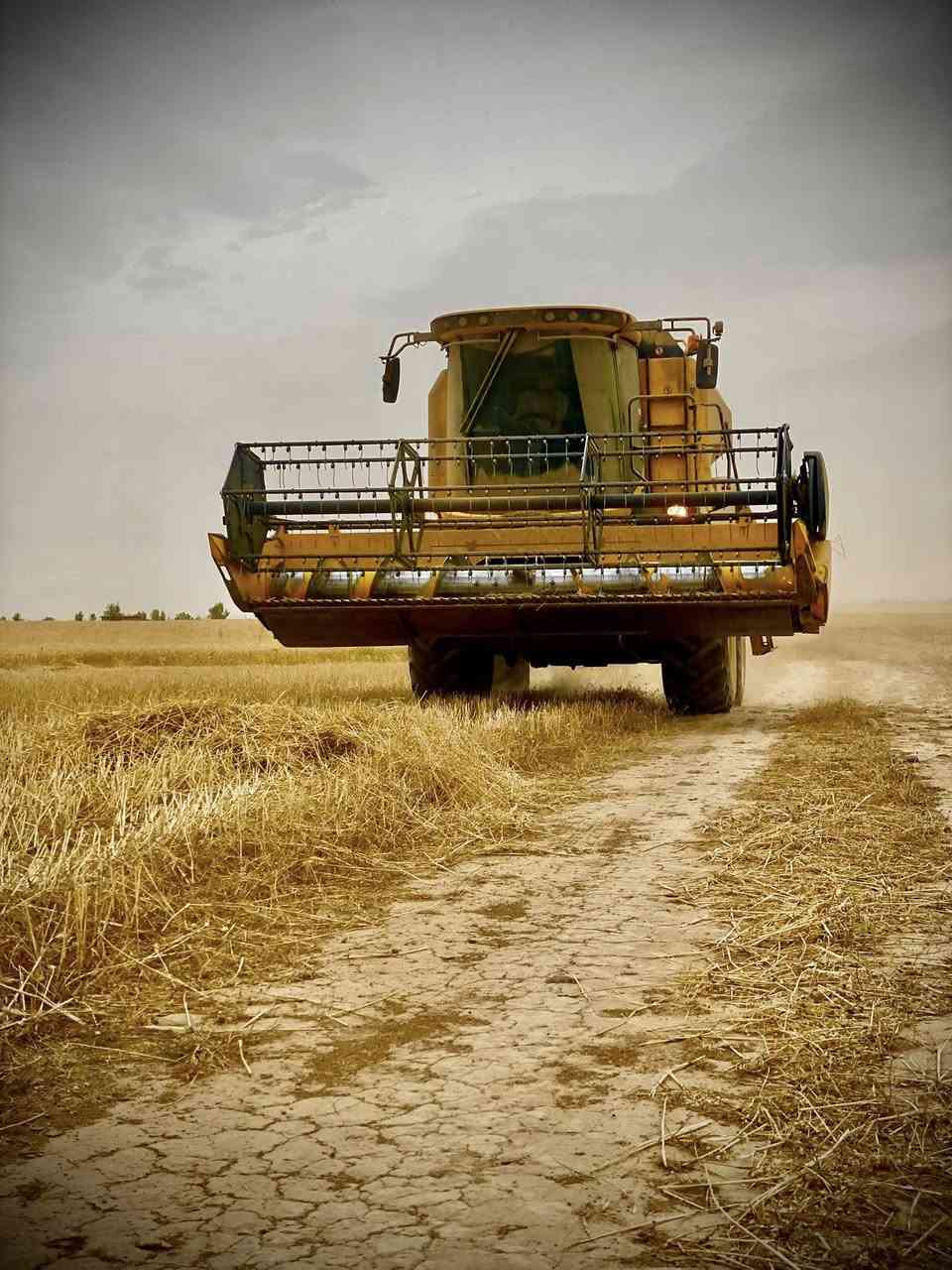 موديل 2020
مكفول من كول شي 
اربع بلم
تك درام 
رقم شمالي 
***********
