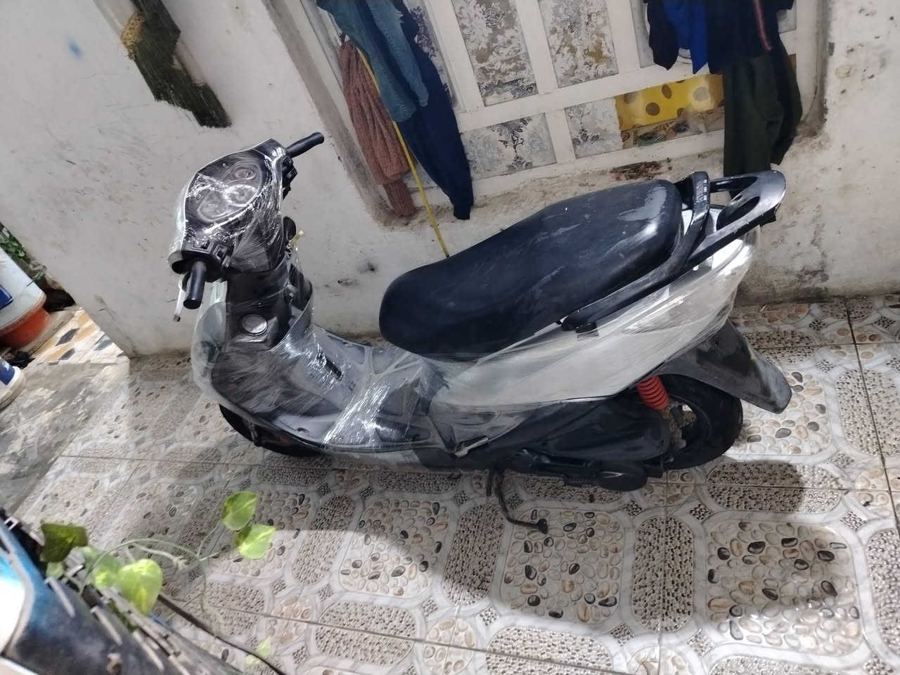 سلام عليكم جيفور للبيع شرط مامفتوحه ولاملعوب بيه عله البلاد نكره سلف اوهندرمكينه شرط ماتنسمع شلعه معدل كهرباياته كامله لايت بك لايت هورن قفل 🔒 جنطه  تايرات جددكفرهه اصلي ختم واحد دراجه جاهزه مال جناي سعره 350 بيه مجال شرط لاتبخيرلاتنقيص وترايك للبطحه جيب وياك مصلح وفحص براحتك منا لمن اتمل مكاني ناصريه مركزحي الزهرا يم علوت السمج شراي اتصل وخادمك ***********
