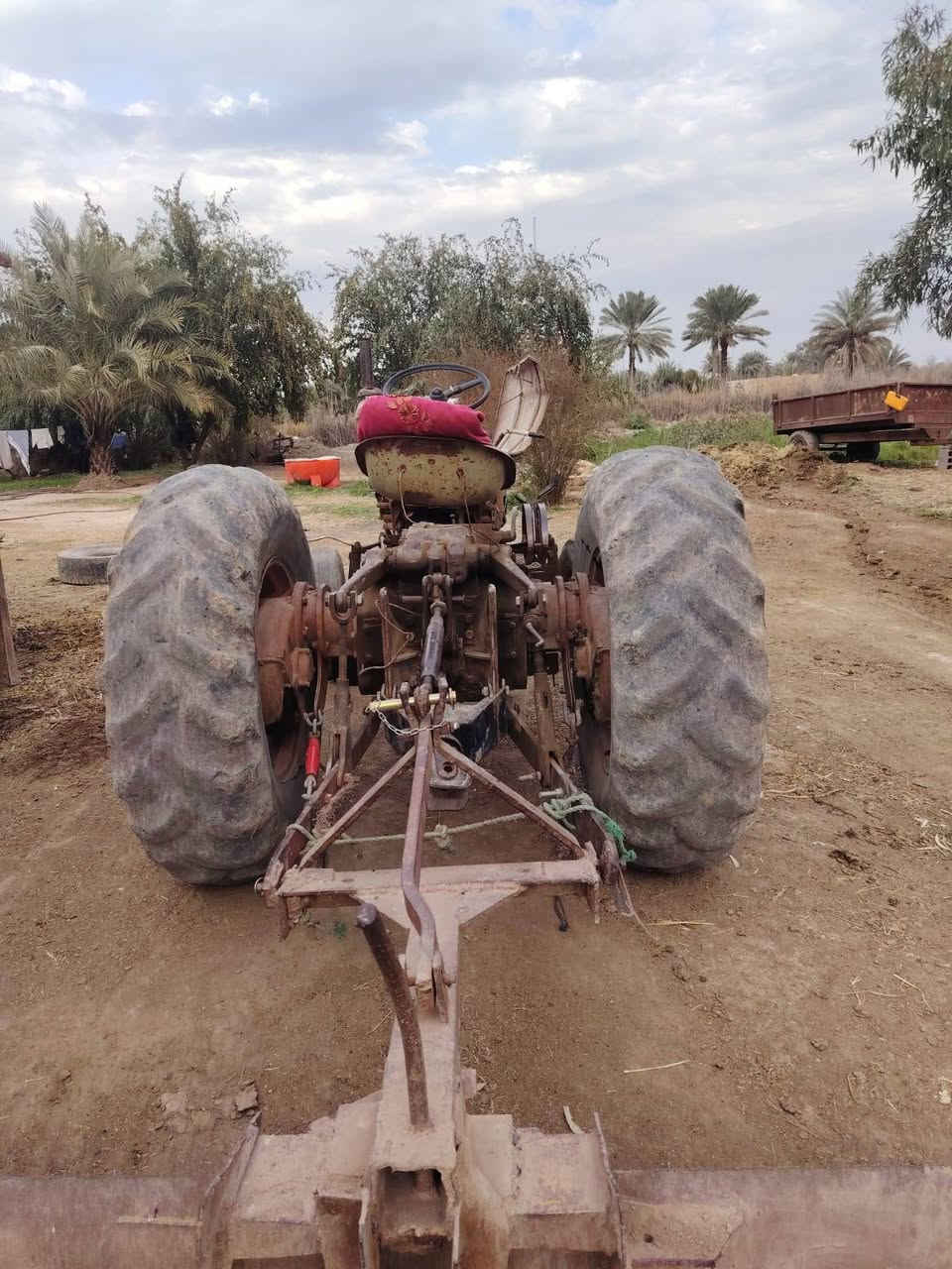 السلام عليكم..عنتر للبيع . للاستفسار الاتصال على الرقم ***********
