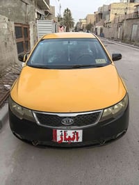 فورتي • وارد امريكي • باسمي