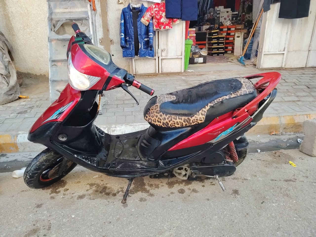 منغولي عدله للبيع ***********
