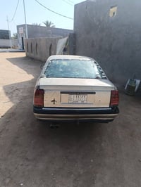 اوميغا • حادث معمّرة • سماوة