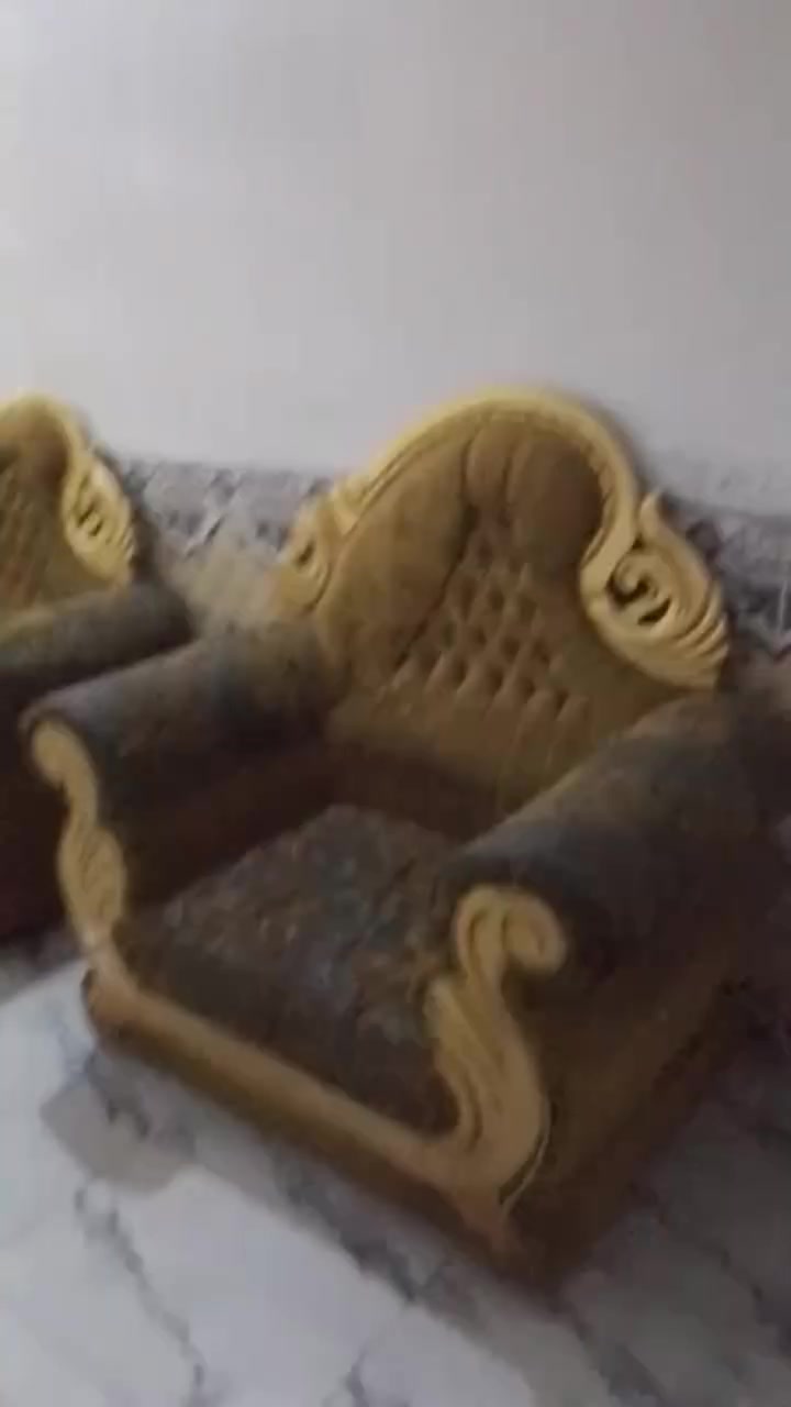 تخم لبيع  ***********السعر 300
