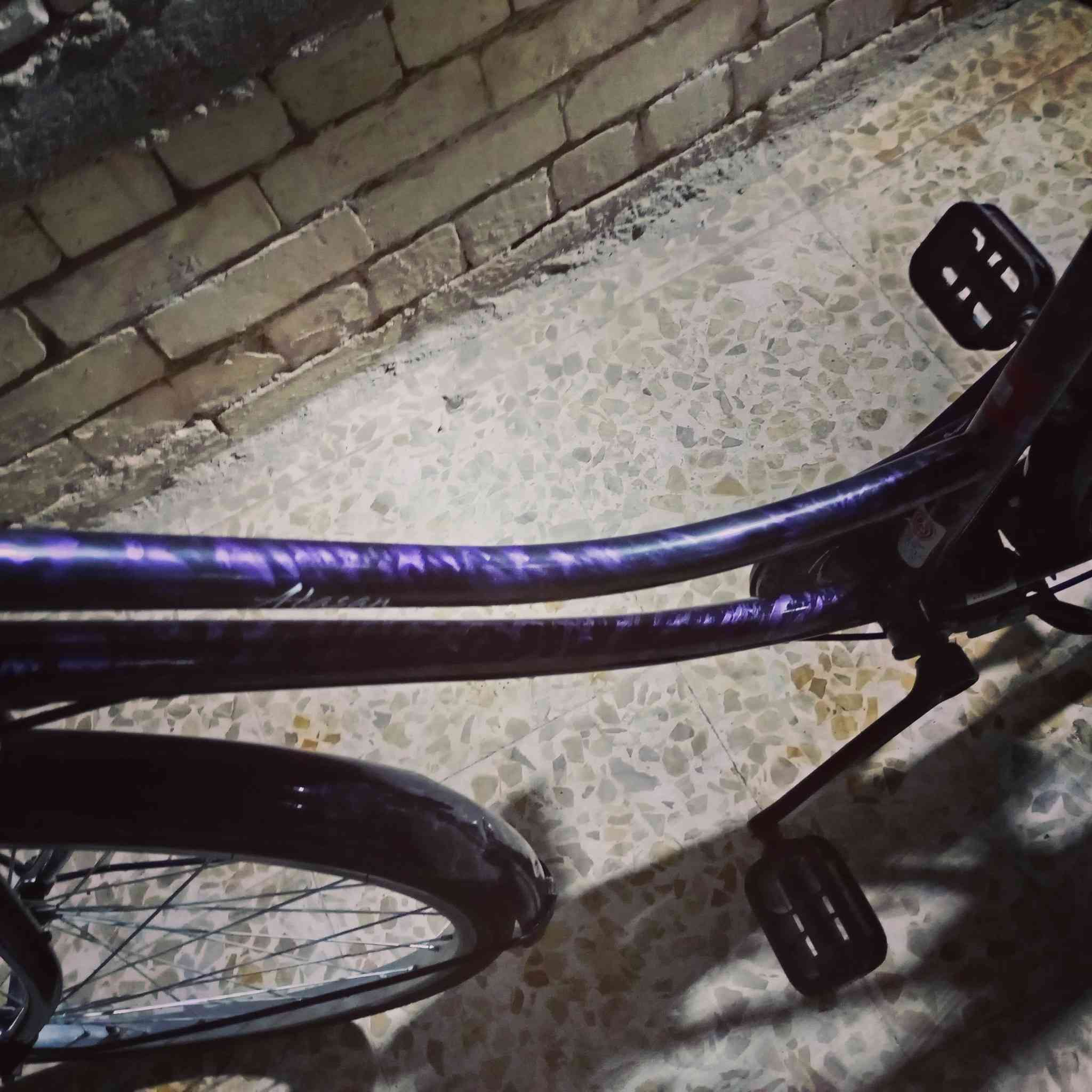 سلام عليكم شلونكم شباب عندي باسكل للبيع بناتي حجم 26 كلش حلو مرتب حته لونه حلو موشم بنفسجي وسود باسكل كلش نضيف الله شاهد ماصالي هواي من ماخذه حته ويا كاسحه وستان نص باسكل مرتب ويا غراض سعر خاصص للتفاصيل اكثر راسلني خاص لو هاذه رقمي***********
