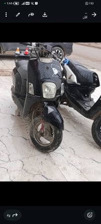 ماكس بوليس • بدون أوراق • كفاله عامه