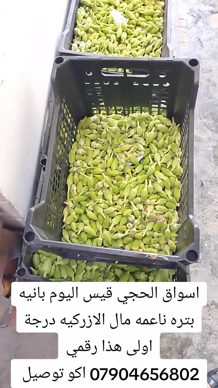 اسواق الحجي قيس اليوم بانيه بتره ناعمه مال الازركيه درجة اولى كيلو 2500 دينار هذا رقمي *********** اكو توصيل
