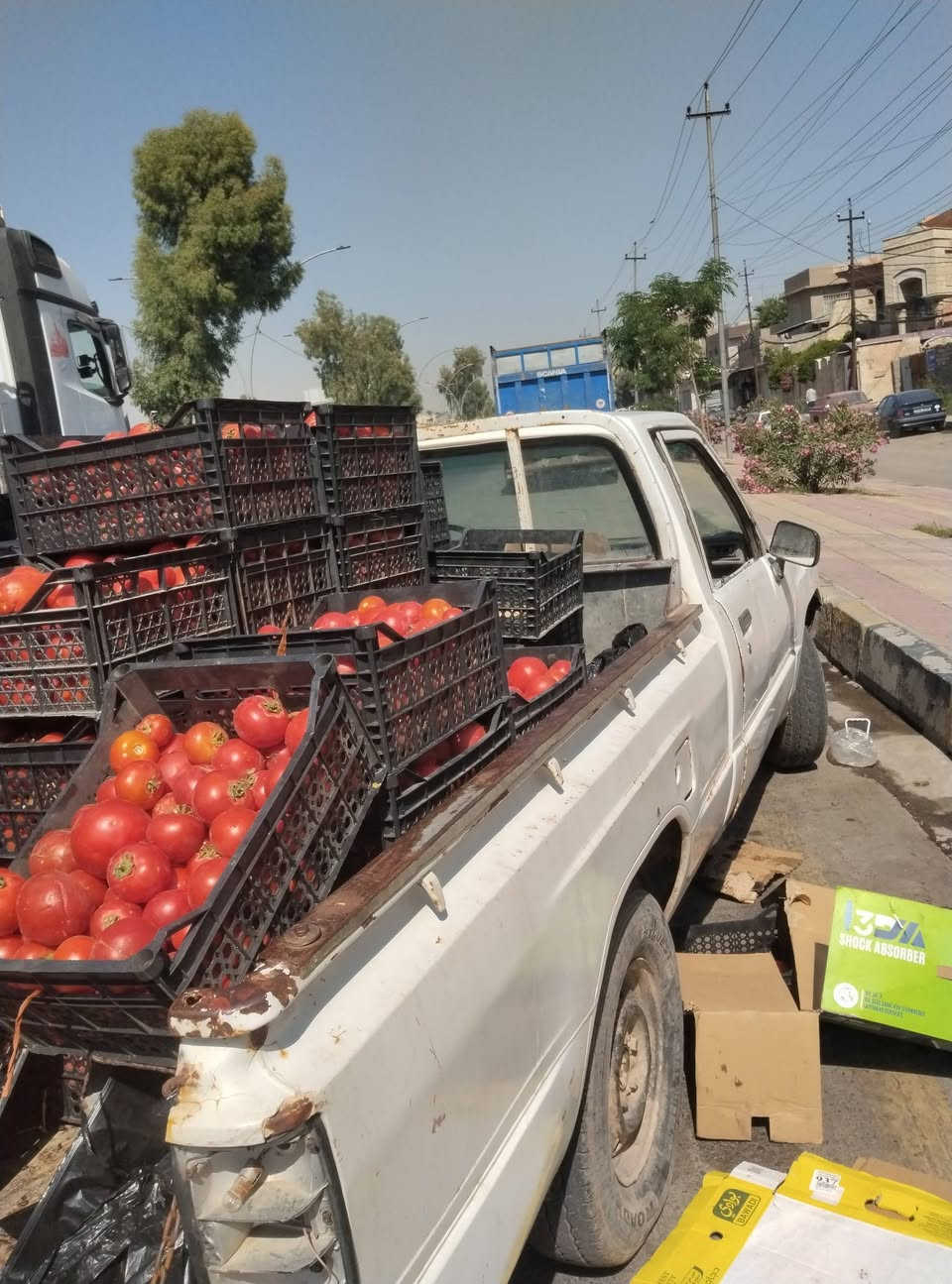 بكم 85 بسم ابوي بي كاربون محرك فول مأشالله عمرتو بسنه2025 محرك فول مال شقل سعر25 قفل


**إذا كنت صاحب هذا الإعلان وتريد حذفه لأي سبب، رجاءا أرسل رسالة إلى الدعم الفني**