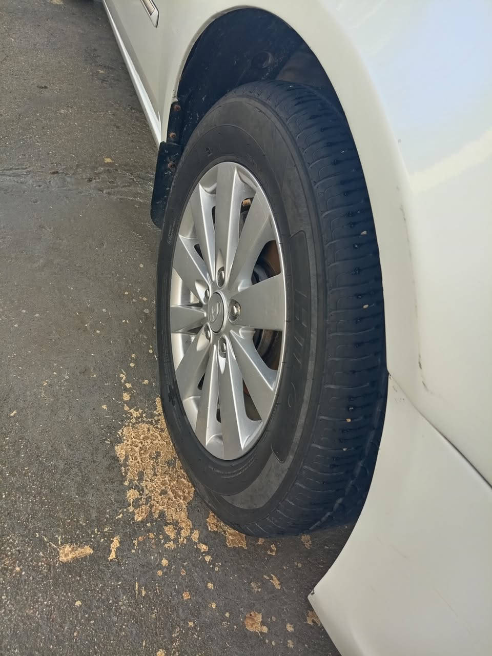 السعر ٩٩
سوناتا ٢٠٠٩ خليجي رقم بغداد الجديد مكينه ٢٤٠٠ دوش تحويل مباشر كير مكينه تخم تاير صدر كلها كفاله تبريد ثلج شرط الفحص شاشة تاب ٥ ويل كب بيها مكانات صبغ ابيع احزام بدون شواصي بدون لغود بدون مرواس فقط بيع وشراء يتصل فقط ذاكر كل شي مكاني بابل مشروع المسيب ***********
@الجميع
