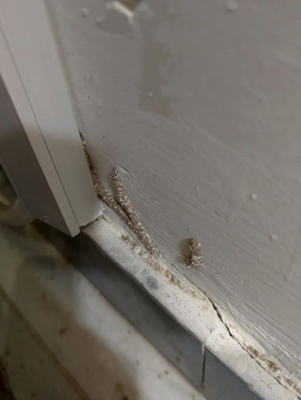 يوفر لكم ( مكتب الوسام المختص بكشف ومكافحه حشرة الارضه والقوارض بجهاز السونار) كوادر متخصصه لمكافحة حشرة الارضة .
💎كشف دقيق وموقعي. 
💎استخدام افضل انواع المبيدات المرخصة من قبل وزارةالصحة بدون رائحة وغير سامة  حيث ليس هناك الحاجة لاخلاء الموقع من سكانه .
💎ضمان خمس سنوات 
نقدم لكم الحل الأمثل لمشكلة الأرضة والنمل الأبيض، حيث نوفر جميع مبيدات فايروسيه الفعالة ونسعى لخدمة العملاء على أكمل وجه، وتقدم الشركة خدماتها في أسرع وقت وتمتلك حلول فعالة وعصرية وغير تقليدية، يتم رش المبيدات فايروسيه حسب مساحة المكان، كما يوجد خدمات خاصة للمنشآت الهامة مثل المستشفيات والبنوك والمساجد ودوائر الدوله الشركات الاهليه
💎لاتستخدم الكلوردين او النفط للمعالجة
لدينا مواد صديقة للبيئة تستخدم لمكافحة الارضة وليس فيها ضرر على الصحة العامة
تعمل كوادرنا في جميع محافظات العراق
وعلى مدار 24 
***********
***********
او مراسلة الصفحة

 مكتب الوسام  ومكافحة حشرة الارضة والقوارض بجهاز السونار
