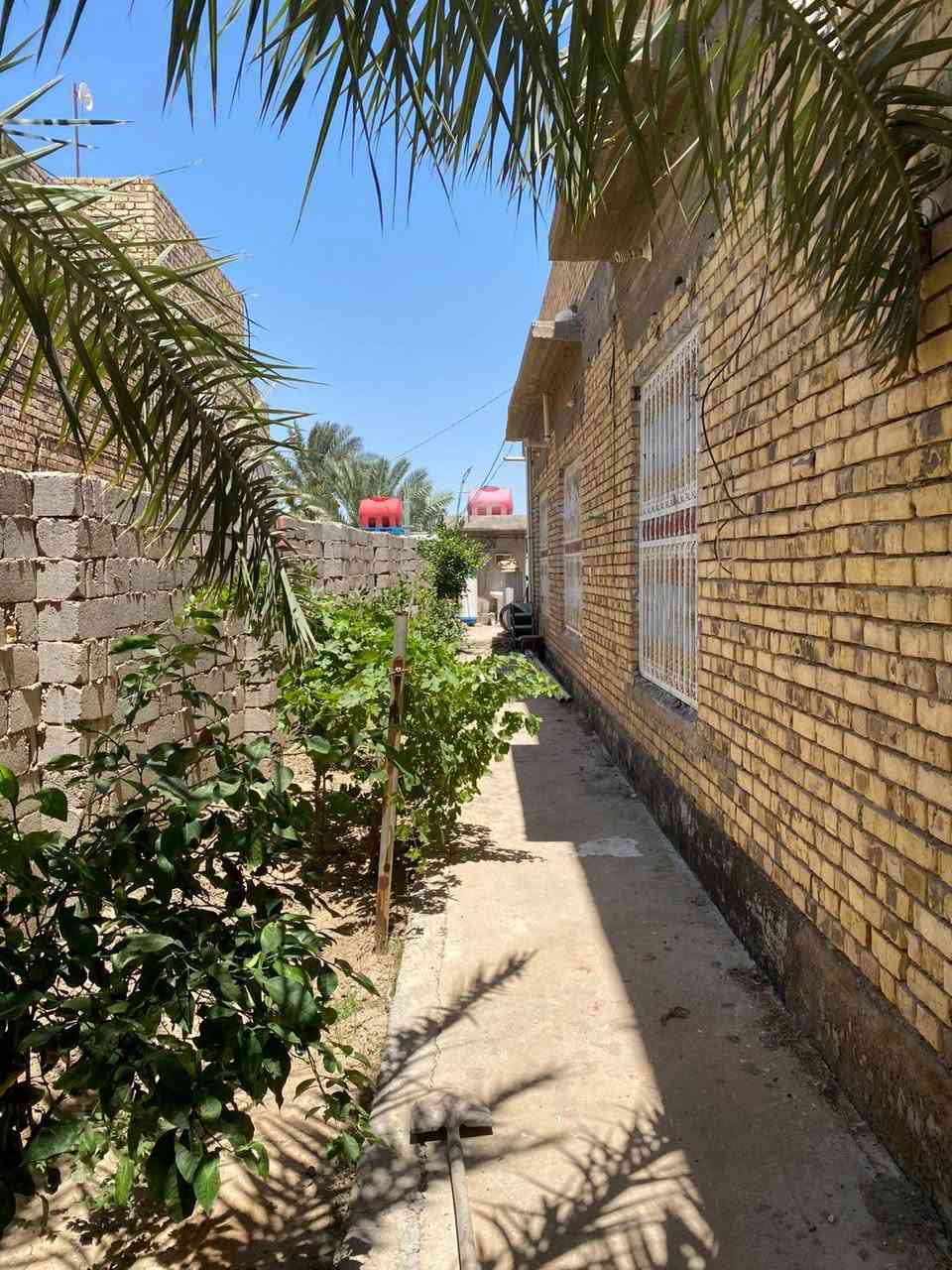 🌿 إعلان عن مزرعة للبيع 🌿

تُعرض للبيع مزرعة بمساحة دونم ونصف
📍 تقع على طريق السنية
وتبعد حوالي 1 كم عن الشارع العام
🚗 طريق معبّد يصل مباشرة إلى باب المزرعة

🏡 تضم المزرعة:
✔️ منزل مكوّن من طابقين
✔️ 4 غرف نوم
✔️ صالة
✔️ غرفة استقبال
✔️ مطبخ
✔️ مجمع صحي

🚘 كما تحتوي على:
✔️ كراج كبير
✔️ مخزن

🌴 وتضم مجموعة من الأشجار المثمرة:
▫️ نخيل من أنواع جيدة
▫️ تين
▫️ عنب

تتميز المزرعة بموقع هادئ ومناسب للسكن أو الاستثمار 🌱

📞 للاستفسار والمعاينة:
مكتب المحيط لبيع وشراء العقارات – الديوانية

📍 الشارع الحولي – خلف جامعة القادسية – قرب غسل غريب الطوس

☎️ أرقام الاتصال:
***********
***********

📲 و

